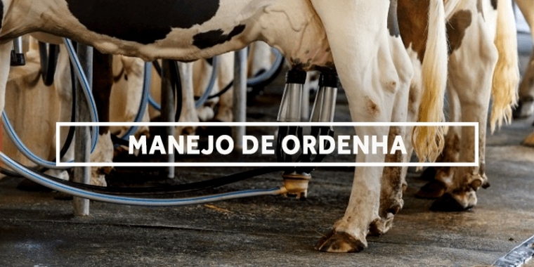 Curso de Manejo e Ordenha na Bovinocultura de Leite